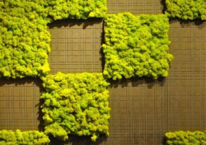green moss tiles